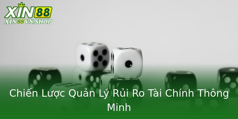 Chiến Lược Quản Lý Rủi Ro Tài Chính Thông Minh