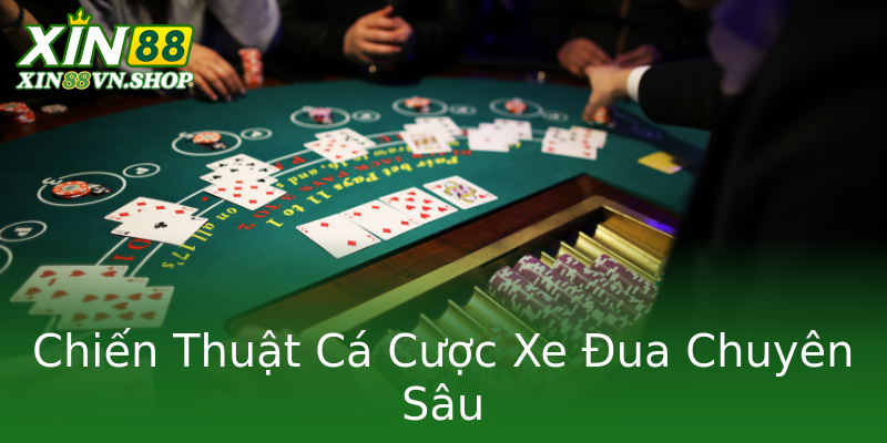 Chiến Thuật Cá Cược Xe Đua Chuyên Sâu