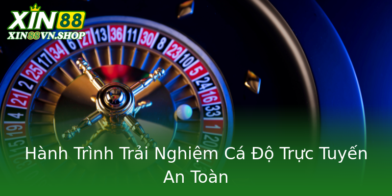 Hành Trình Trải Nghiệm Cá Độ Trực Tuyến An Toàn
