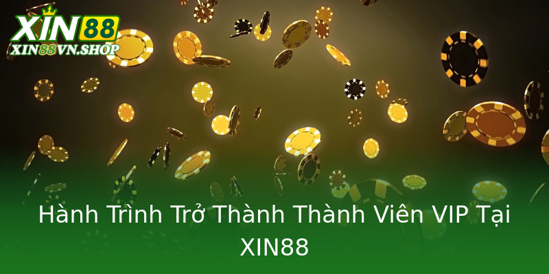 Hành Trình Trở Thành Thành Viên VIP Tại XIN88