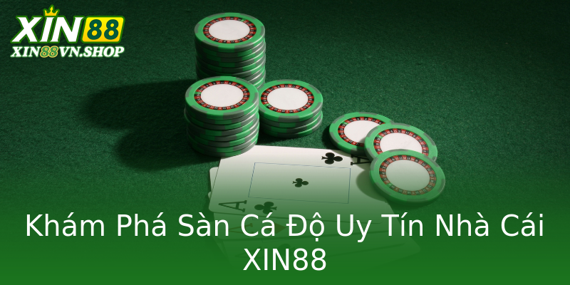 Khám Phá Sàn Cá Độ Uy Tín Nhà Cái XIN88