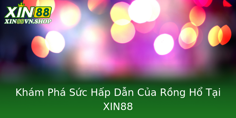 Khám Phá Sức Hấp Dẫn Của Rồng Hổ Tại XIN88