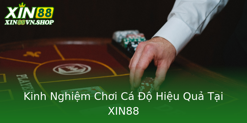 Kinh Nghiệm Chơi Cá Độ Hiệu Quả Tại XIN88