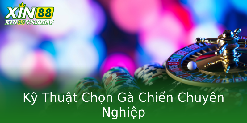 Kỹ Thuật Chọn Gà Chiến Chuyên Nghiệp