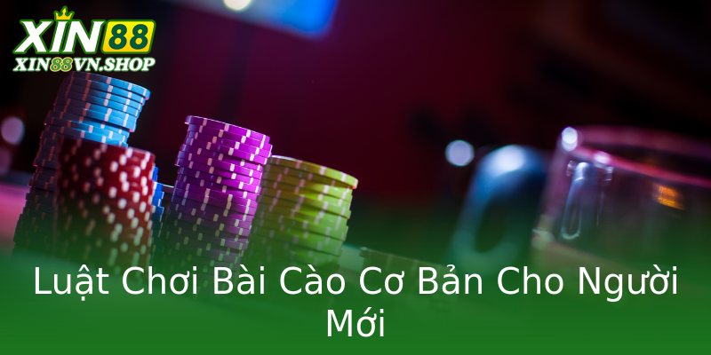 Luật Chơi Bài Cào Cơ Bản Cho Người Mới