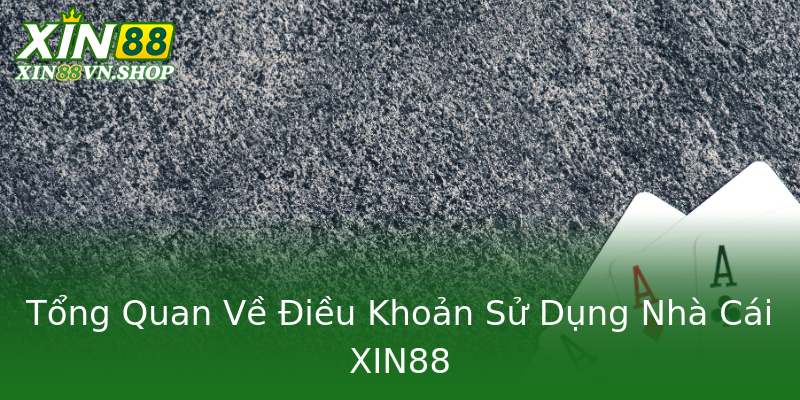 Tổng Quan Về Điều Khoản Sử Dụng Nhà Cái XIN88