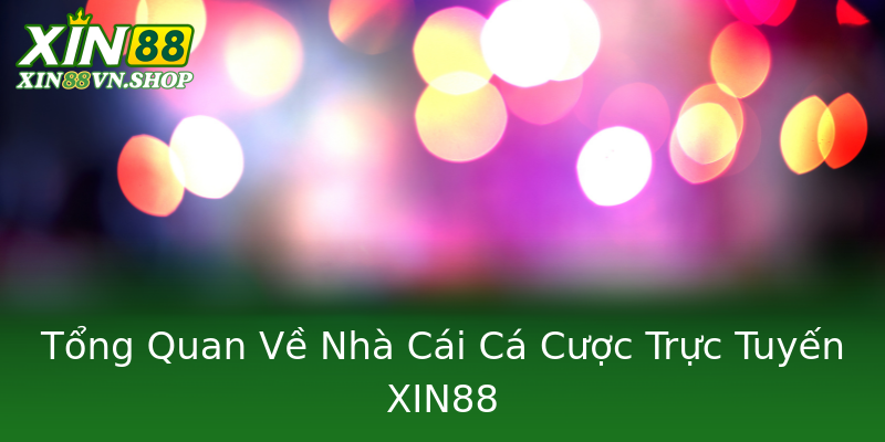 Tổng Quan Về Nhà Cái Cá Cược Trực Tuyến XIN88