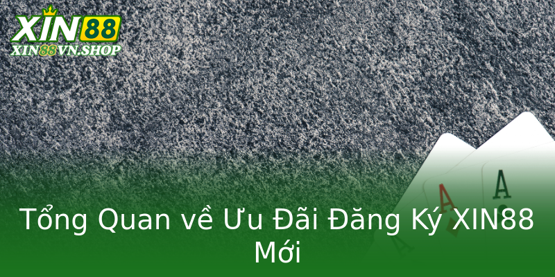 Tổng Quan về Ưu Đãi Đăng Ký XIN88 Mới