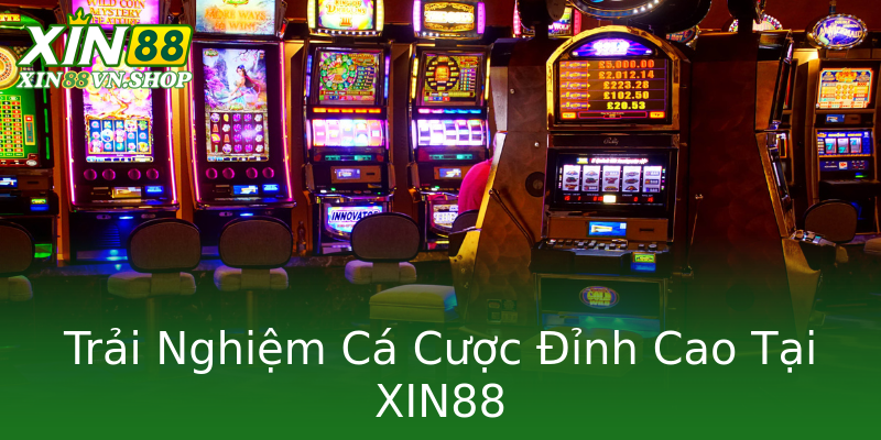 Trải Nghiệm Cá Cược Đỉnh Cao Tại XIN88